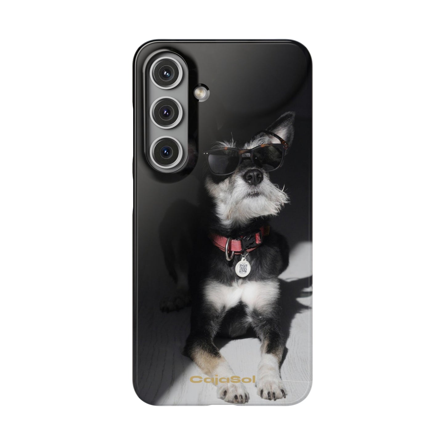Cool Dog Cajasol - Stylish Pet