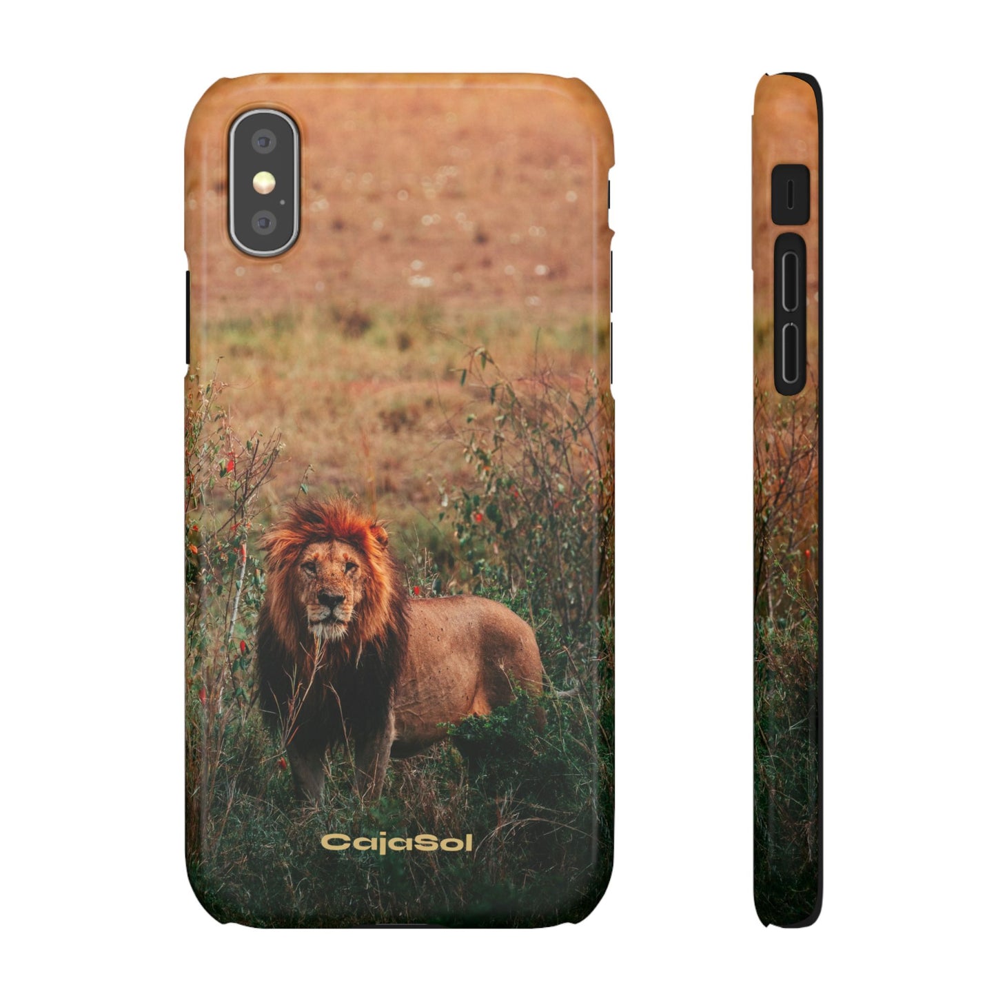 Majestic Lion Cajasol - Nature Inspired