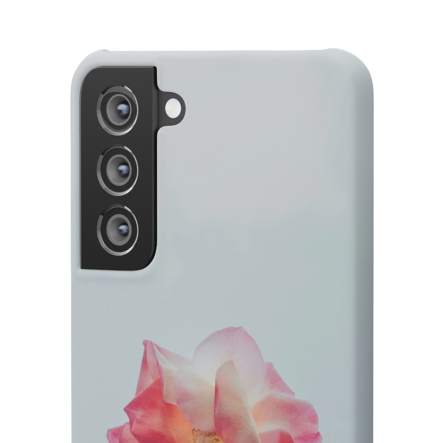 Floral Cajasol - Elegant Pink Flower