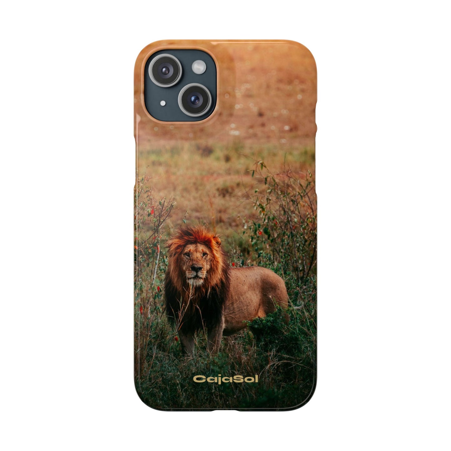 Majestic Lion Cajasol - Nature Inspired