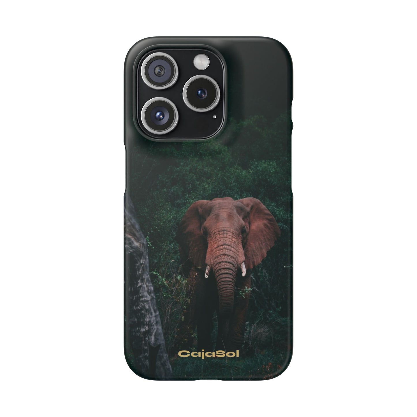 Wildlife Lover's Cajasol - Majestic Elephant