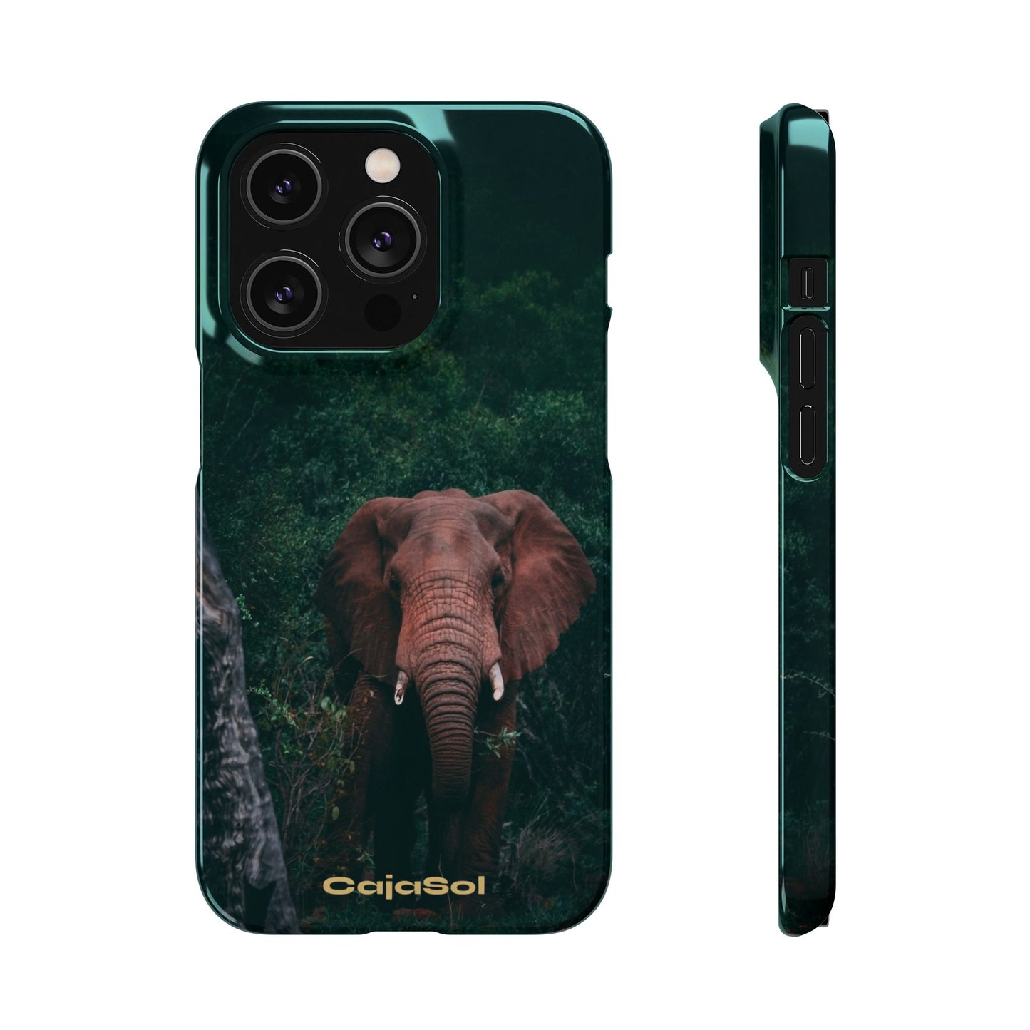 Wildlife Lover's Cajasol - Majestic Elephant