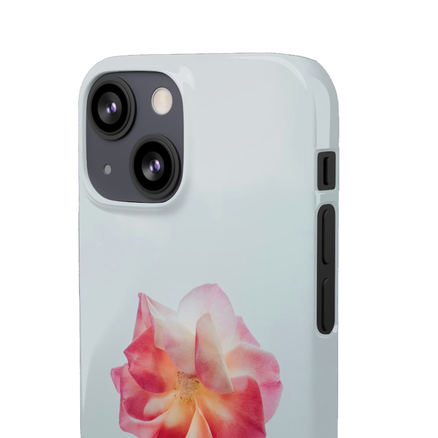 Floral Cajasol - Elegant Pink Flower