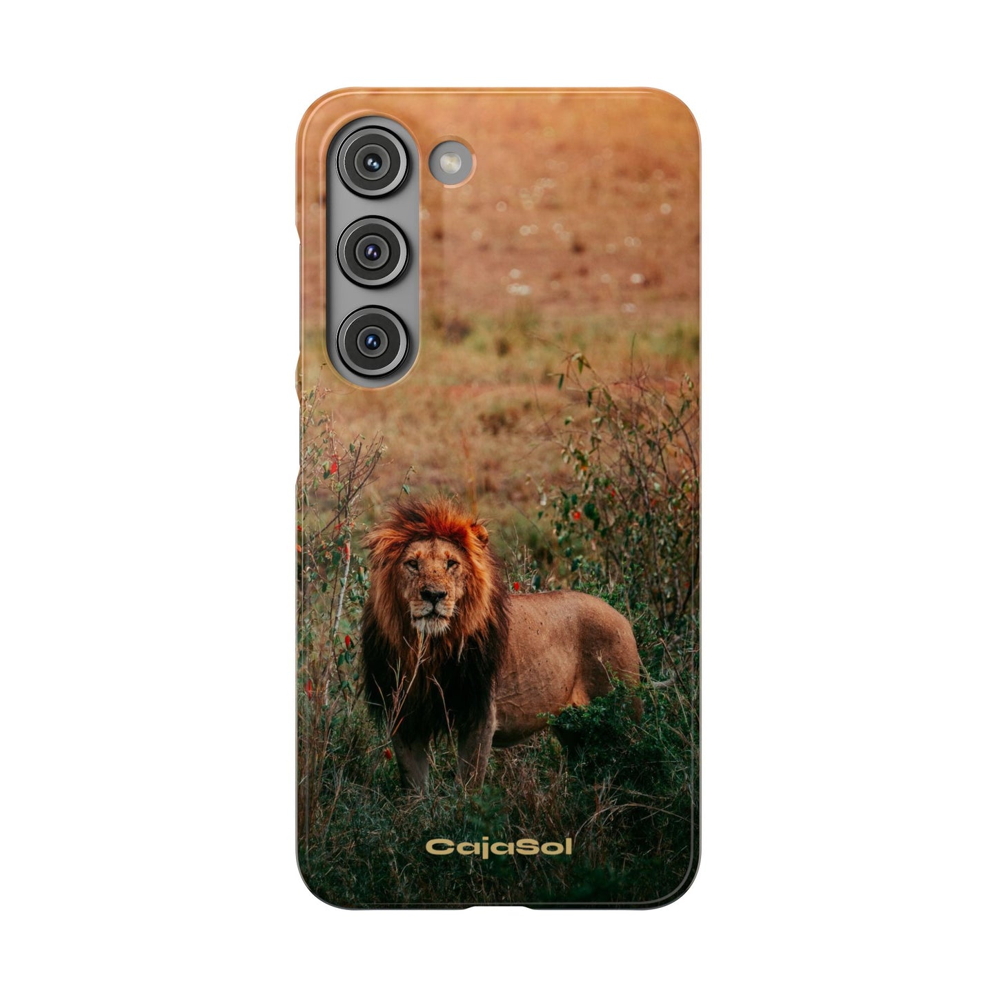 Majestic Lion Cajasol - Nature Inspired