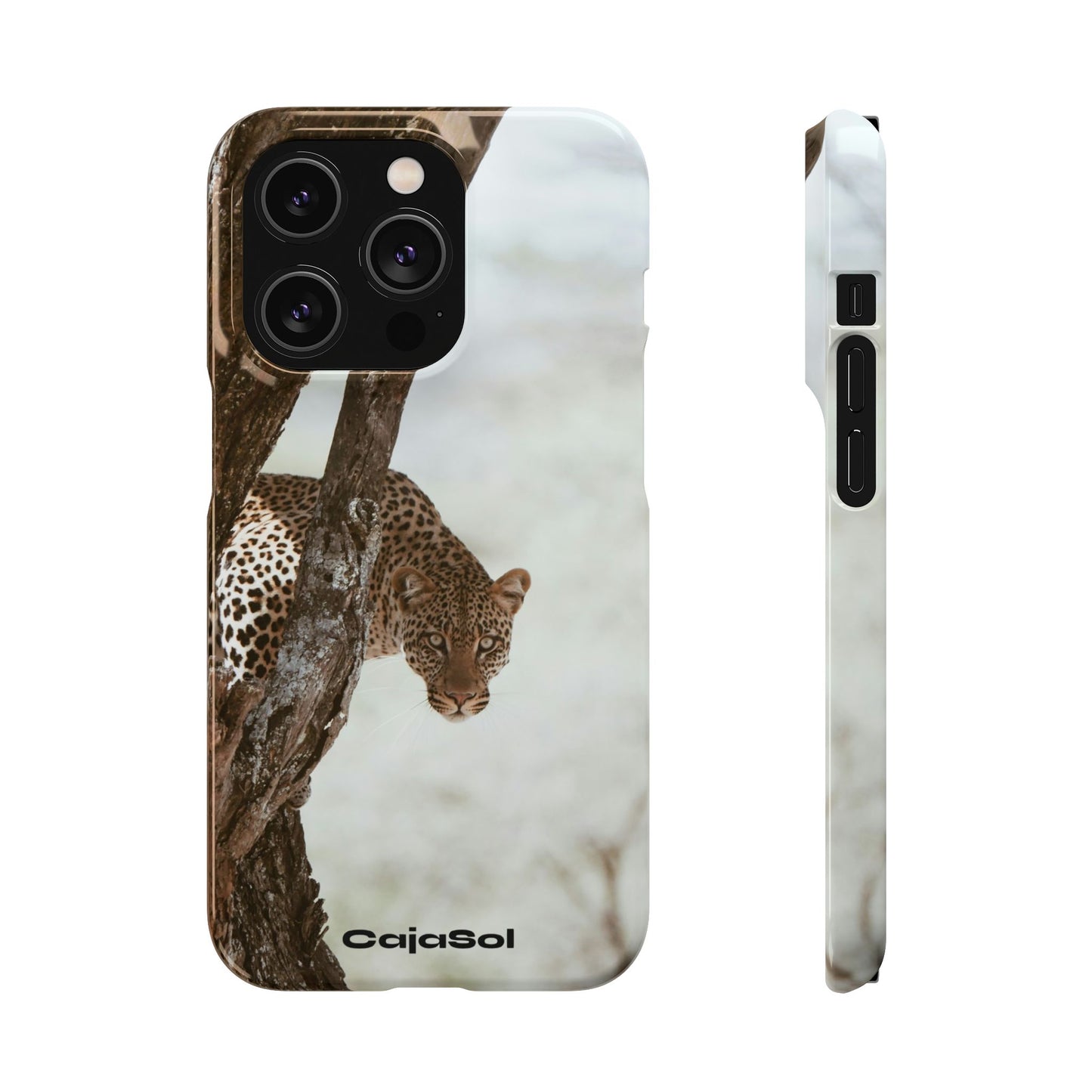 Leopard Cajasol - Wildlife Vibes