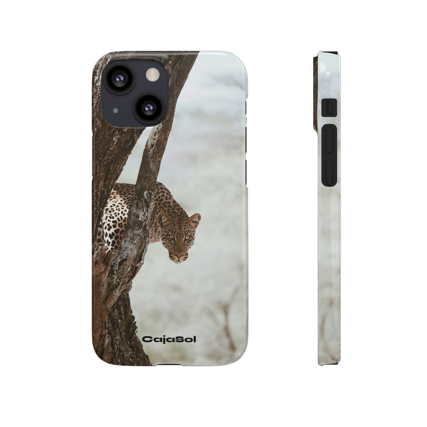 Leopard Cajasol - Wildlife Vibes