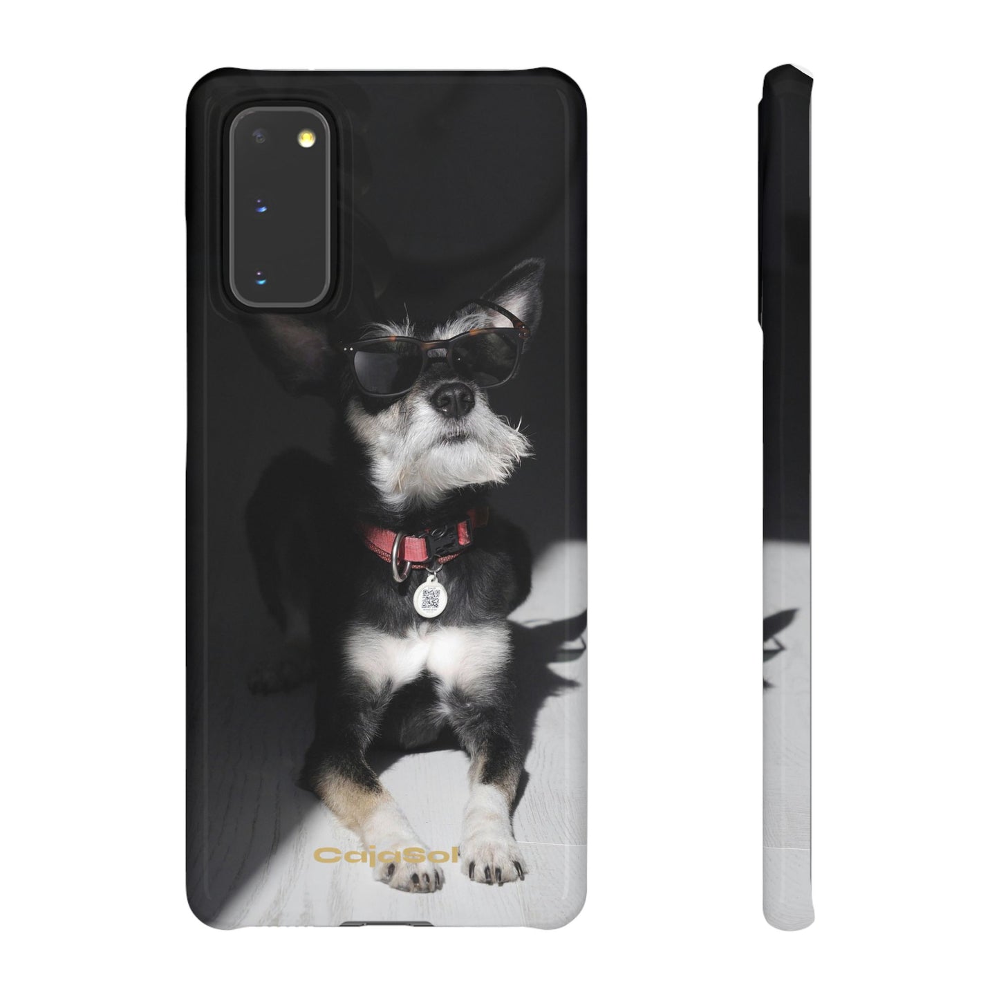 Cool Dog Cajasol - Stylish Pet