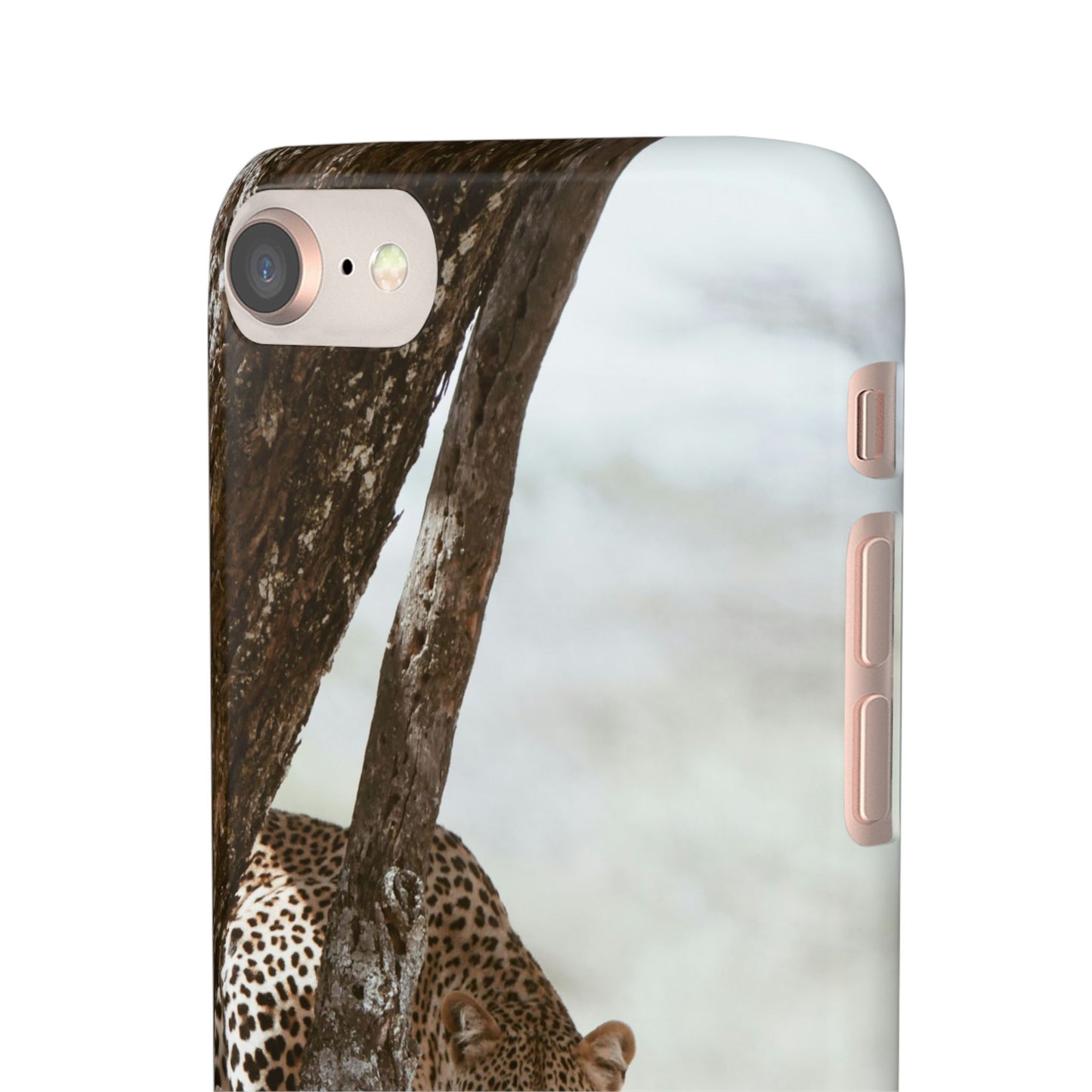 Leopard Cajasol - Wildlife Vibes