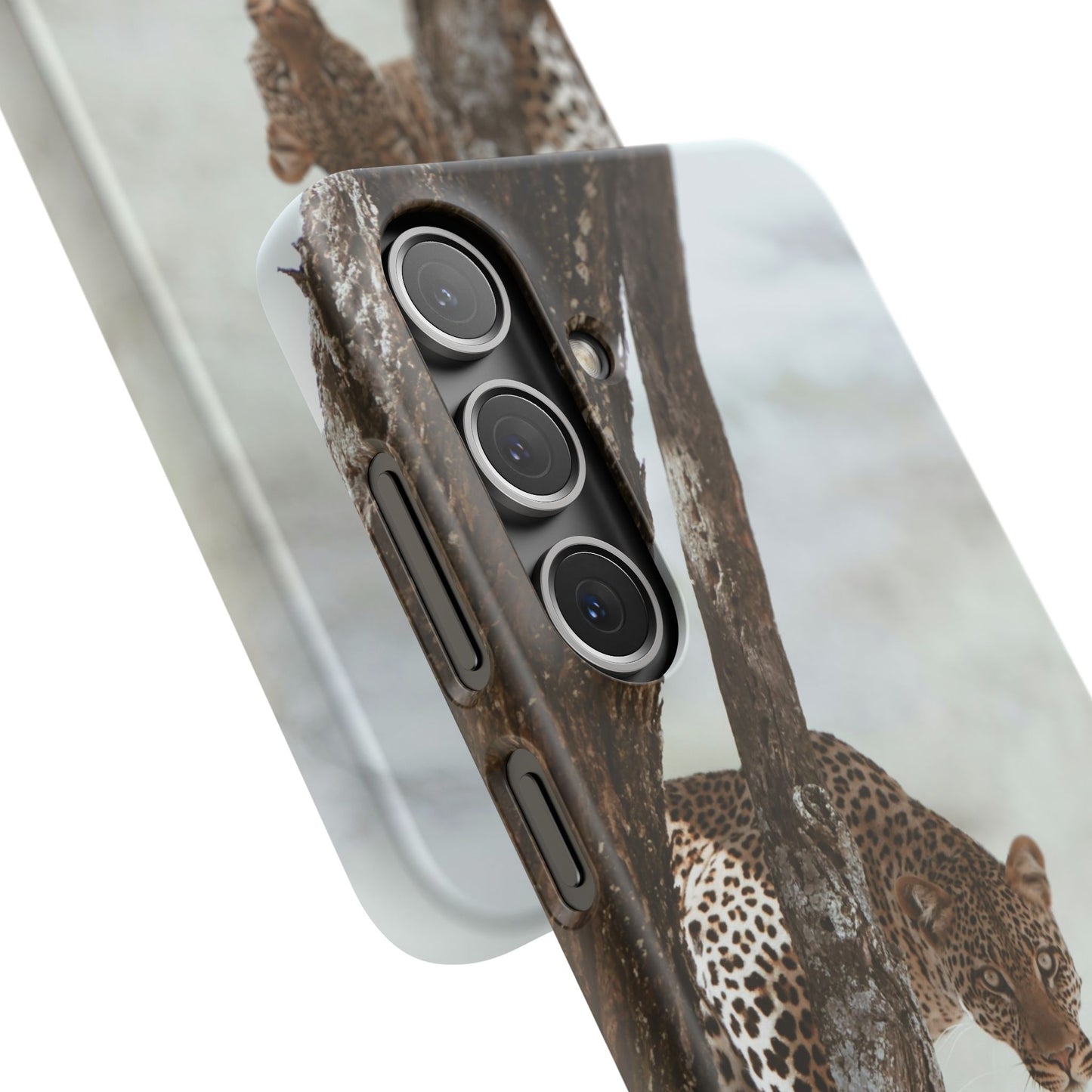 Leopard Cajasol - Wildlife Vibes