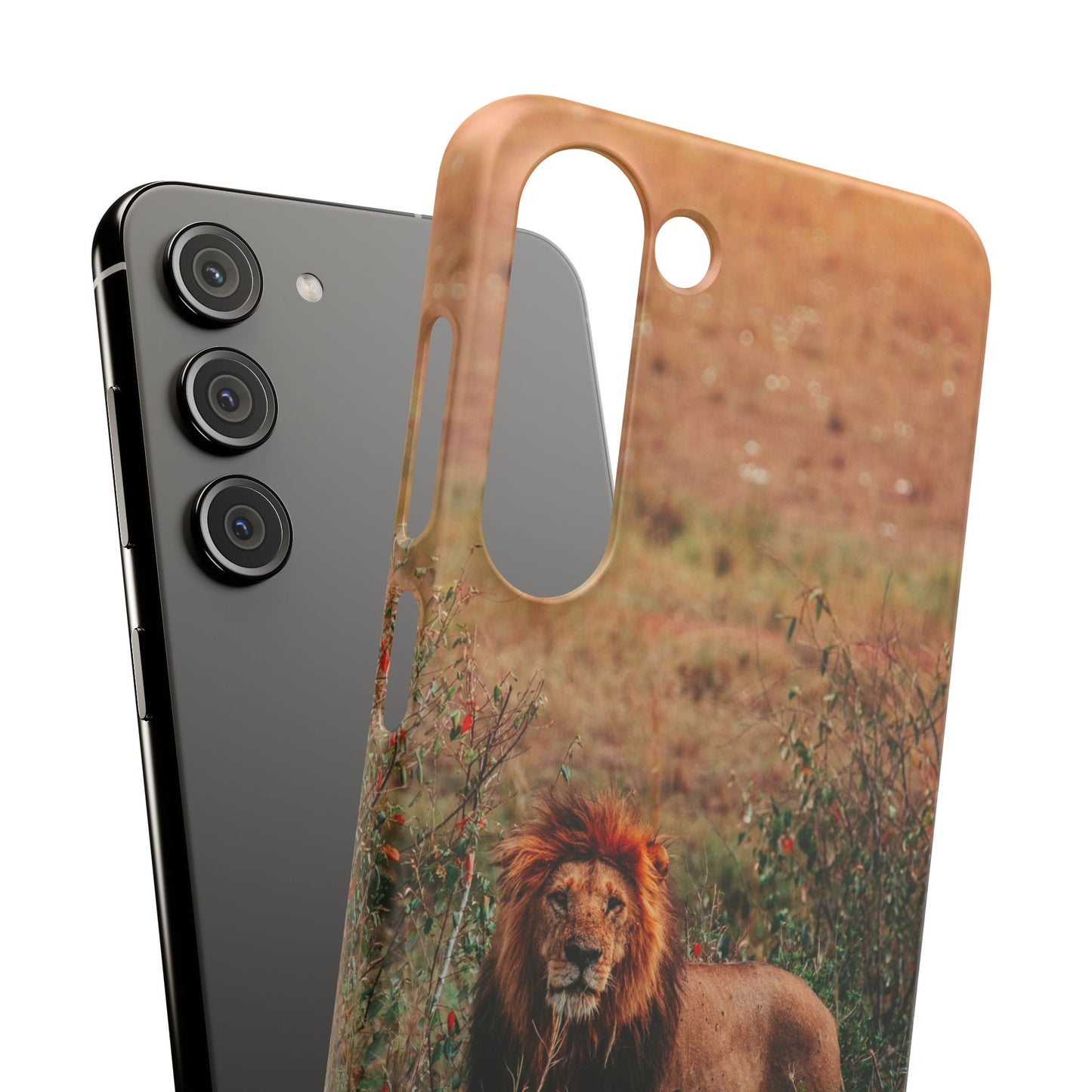 Majestic Lion Cajasol - Nature Inspired