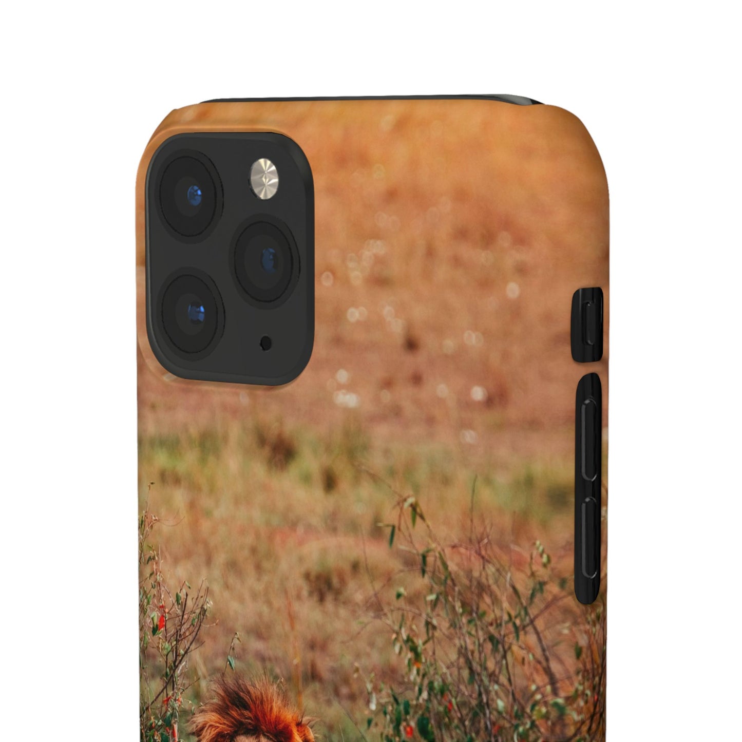 Majestic Lion Cajasol - Nature Inspired