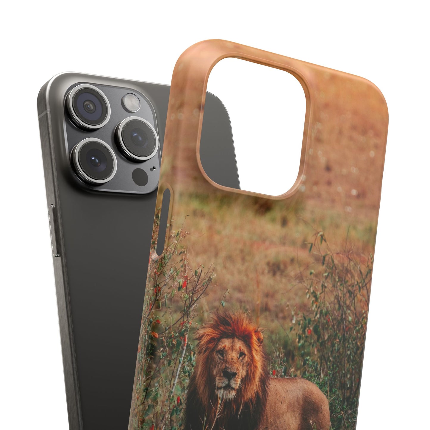 Majestic Lion Cajasol - Nature Inspired