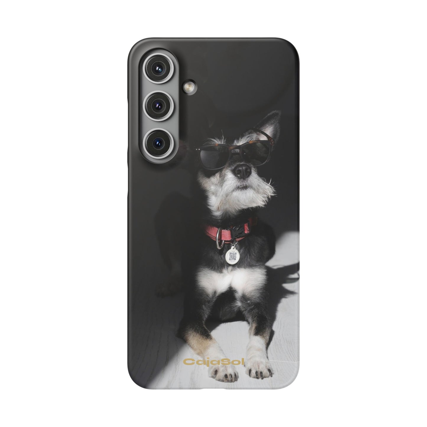 Cool Dog Cajasol - Stylish Pet