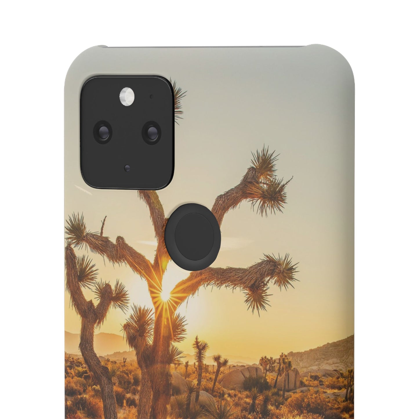 Desert Sunset Cajasol - Stylish Protection for Nature Lovers
