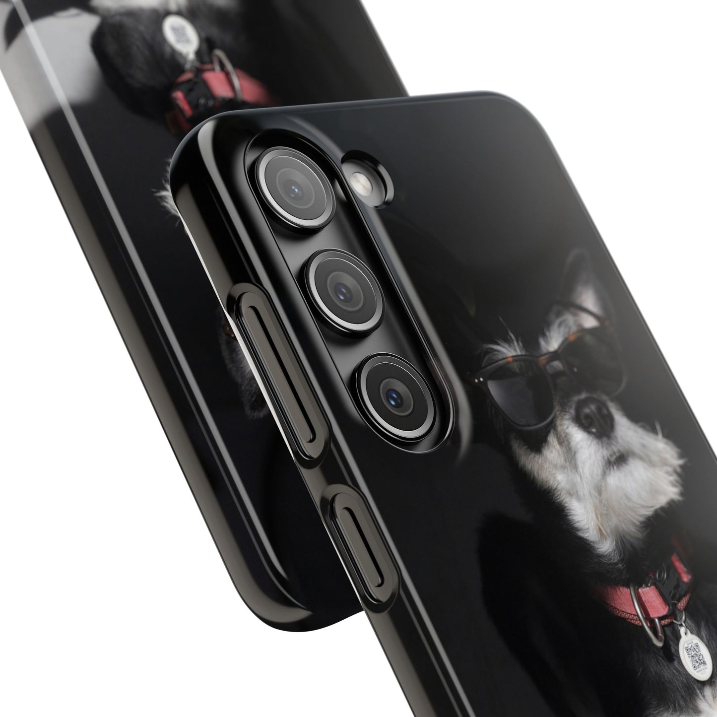 Cool Dog Cajasol - Stylish Pet