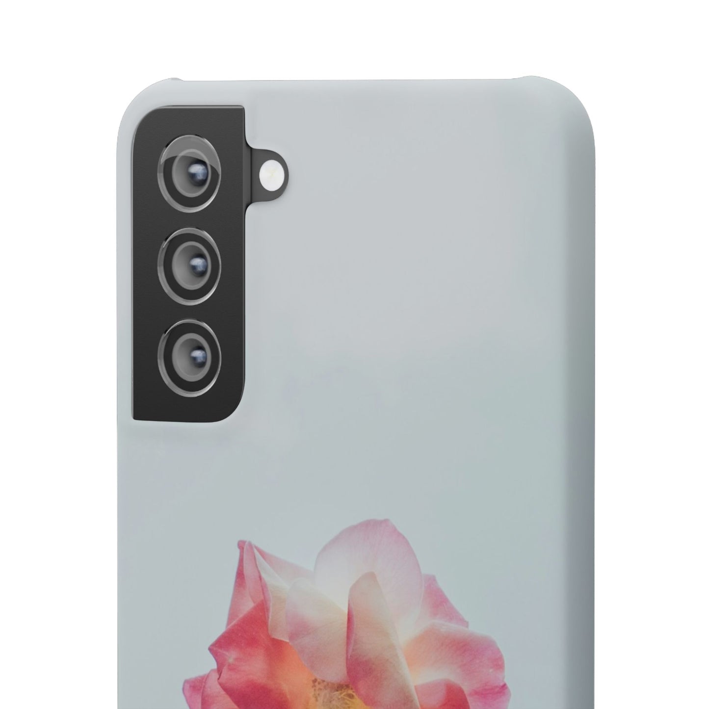 Floral Cajasol - Elegant Pink Flower