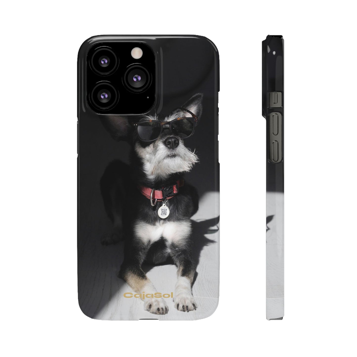 Cool Dog Cajasol - Stylish Pet