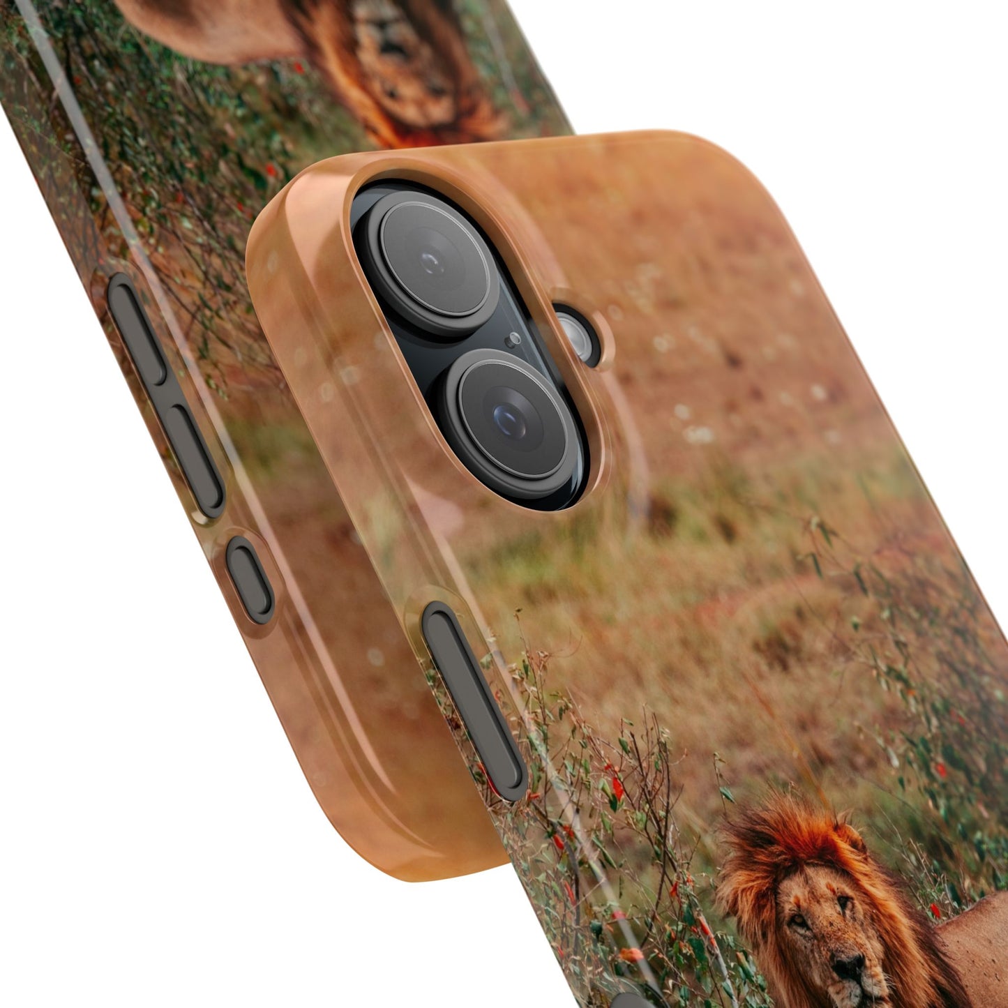 Majestic Lion Cajasol - Nature Inspired