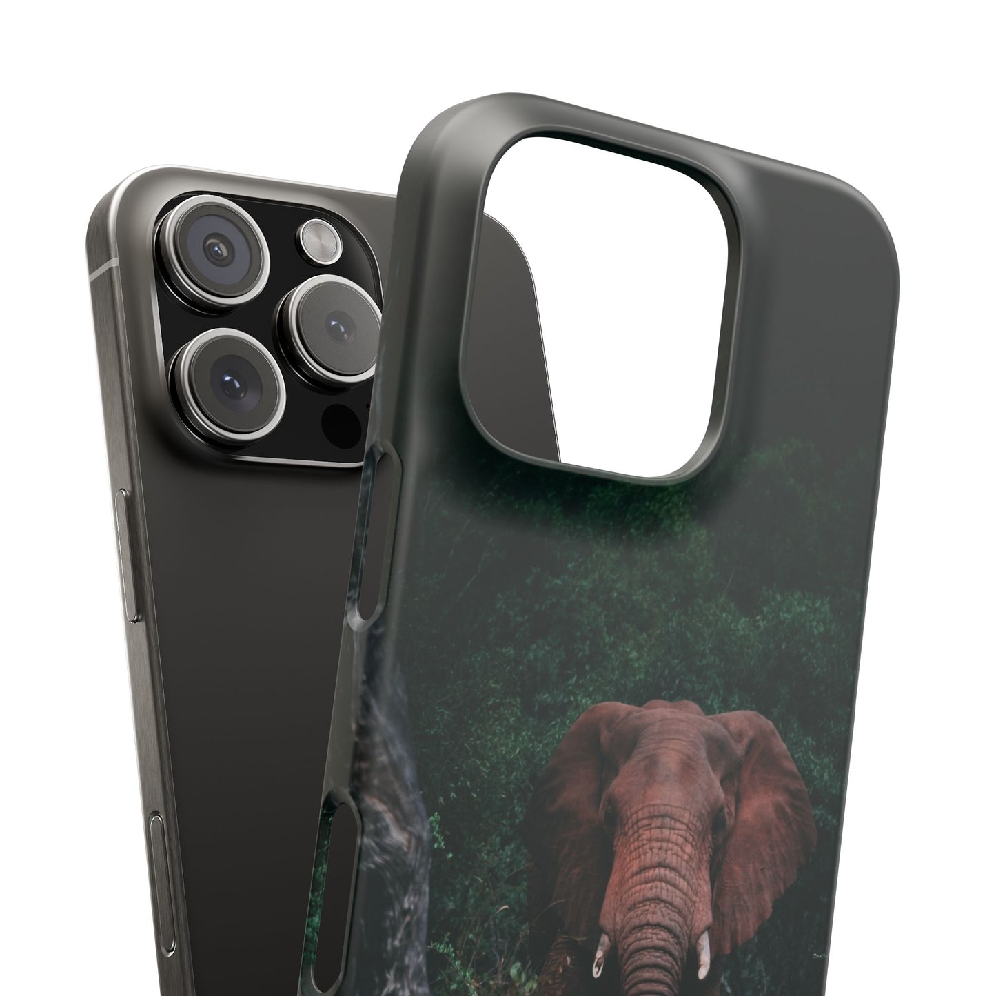 Wildlife Lover's Cajasol - Majestic Elephant