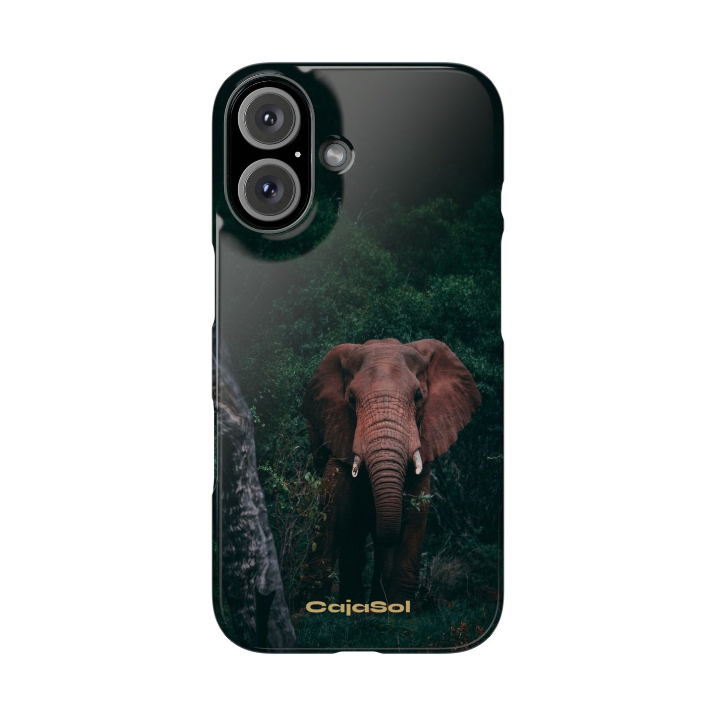 Wildlife Lover's Cajasol - Majestic Elephant