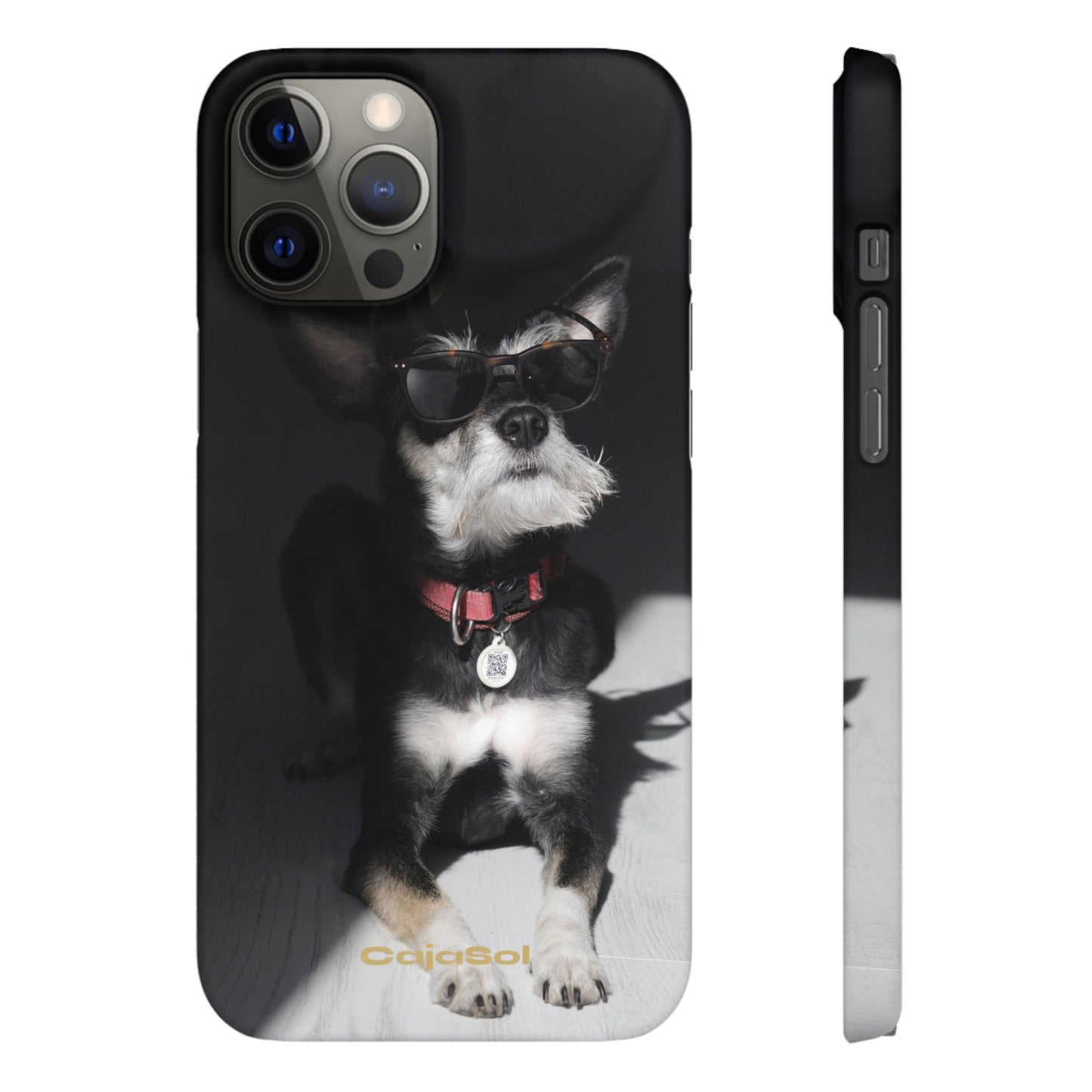 Cool Dog Cajasol - Stylish Pet