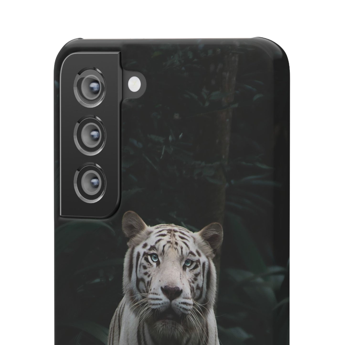 Majestic White Tiger Cajasol - Elegant & Protective for Wildlife Lovers