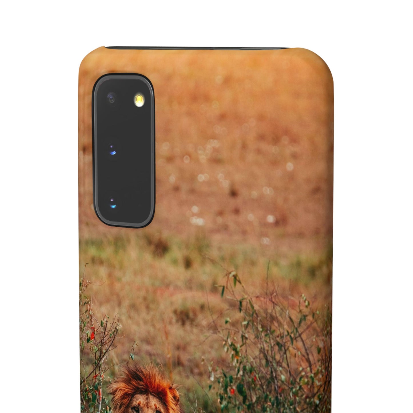 Majestic Lion Cajasol - Nature Inspired