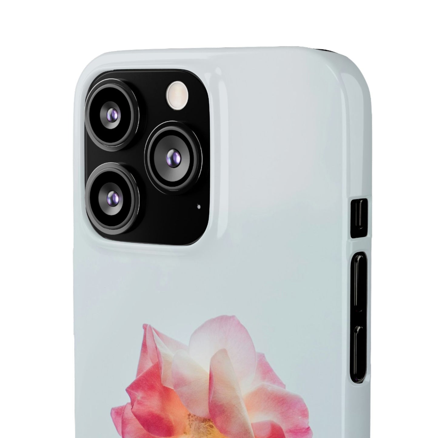 Floral Cajasol - Elegant Pink Flower