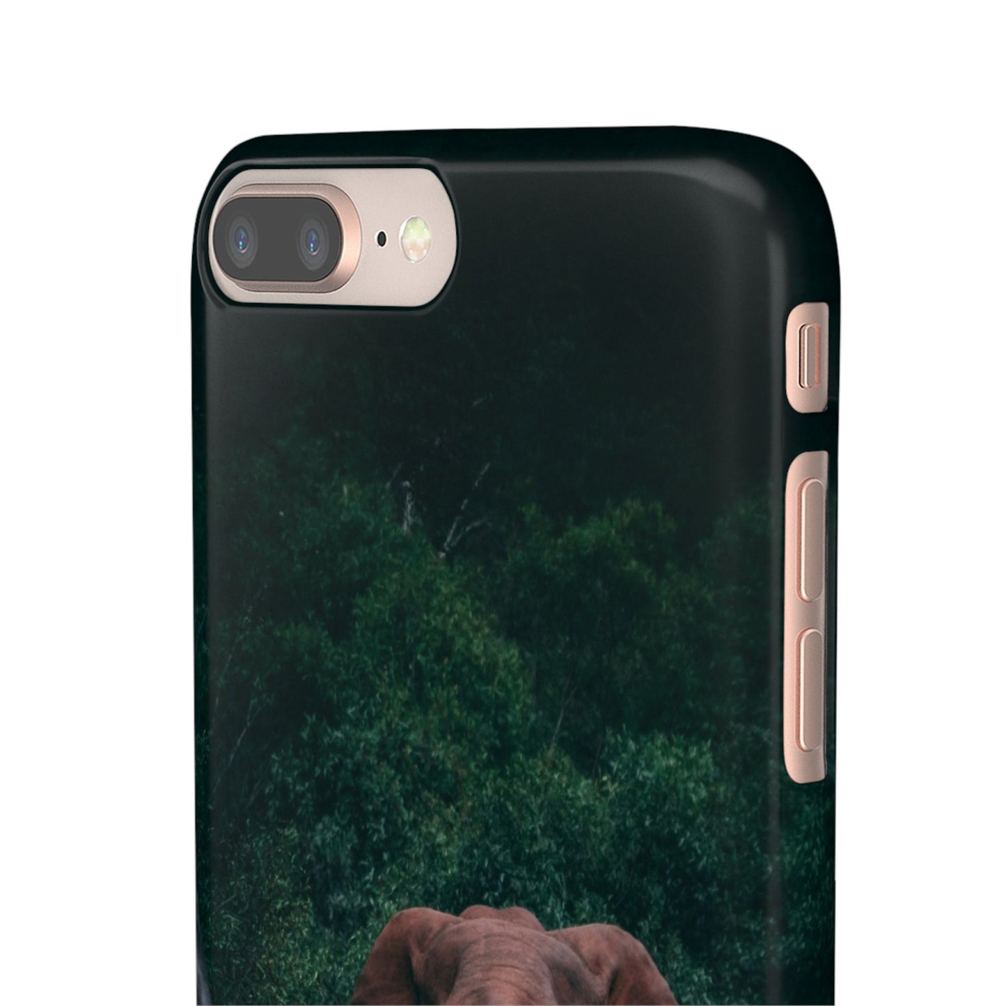Wildlife Lover's Cajasol - Majestic Elephant