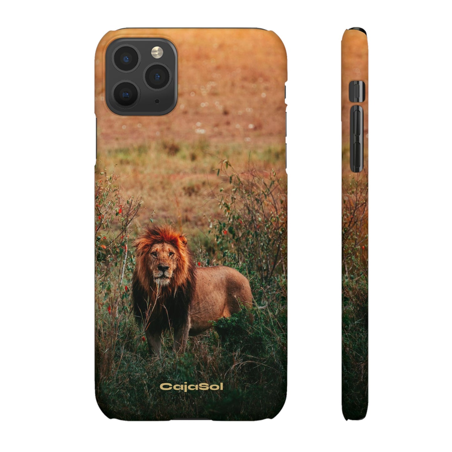 Majestic Lion Cajasol - Nature Inspired