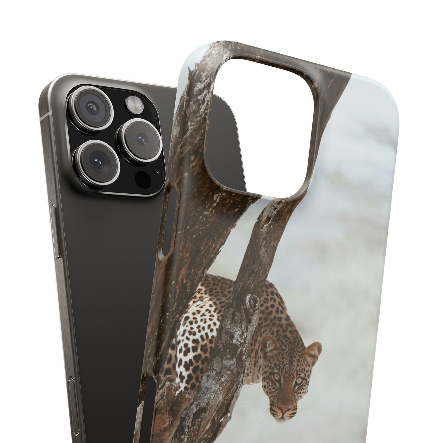 Leopard Cajasol - Wildlife Vibes