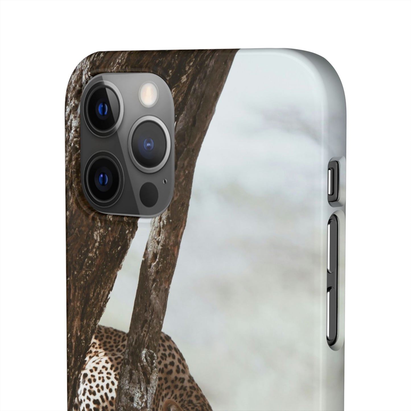 Leopard Cajasol - Wildlife Vibes