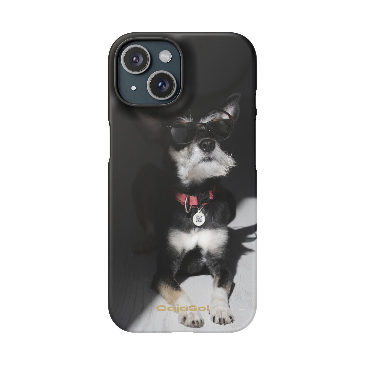 Cool Dog Cajasol - Stylish Pet