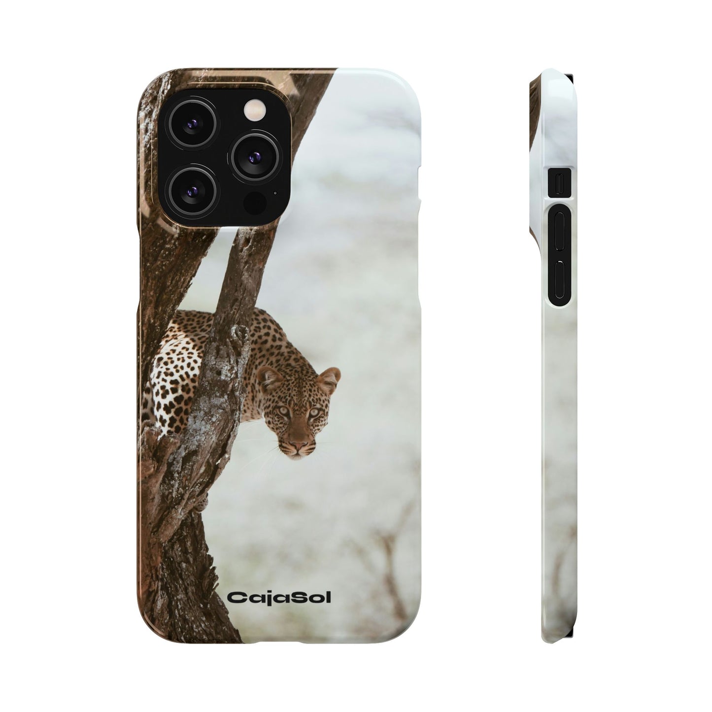 Leopard Cajasol - Wildlife Vibes