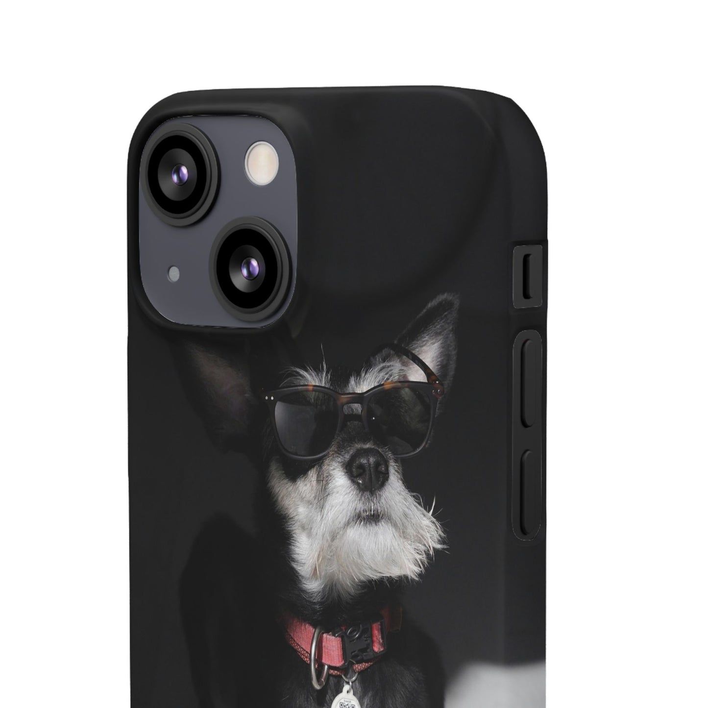 Cool Dog Cajasol - Stylish Pet