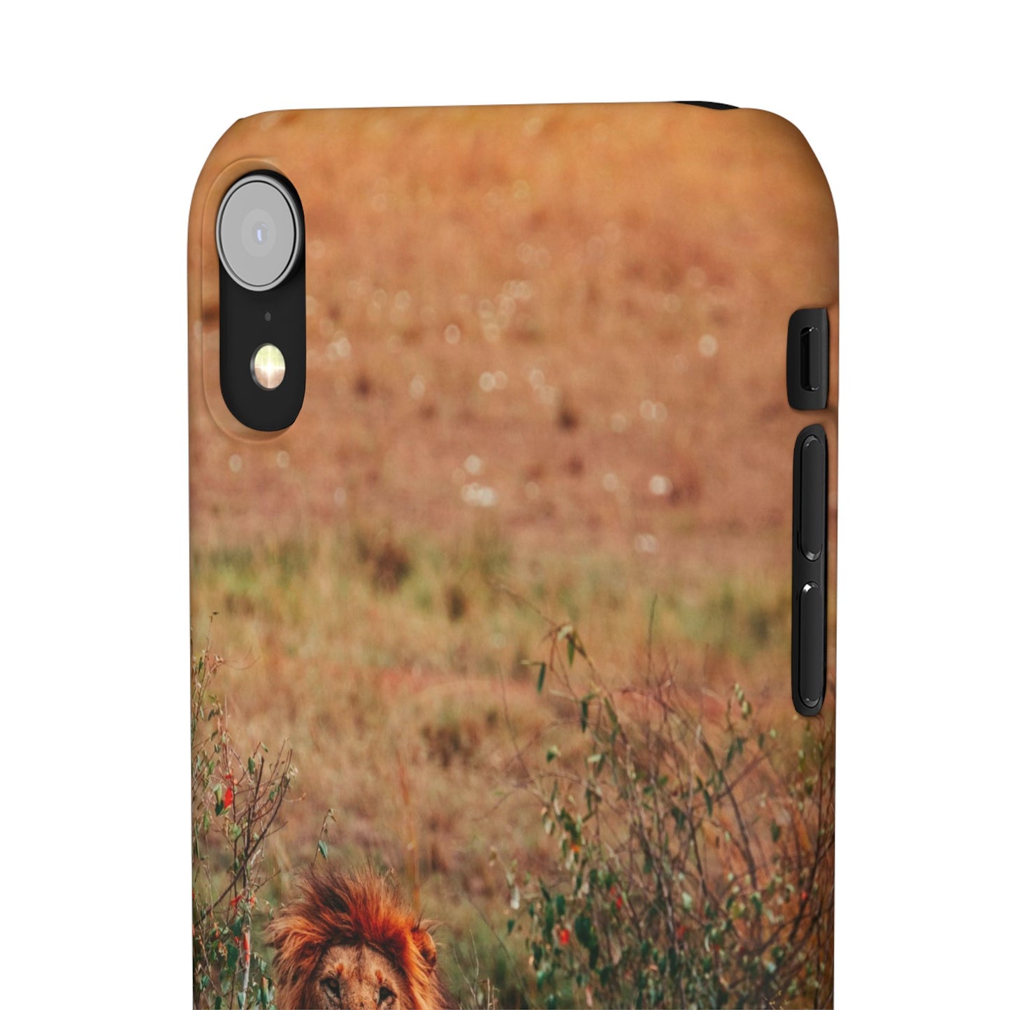 Majestic Lion Cajasol - Nature Inspired