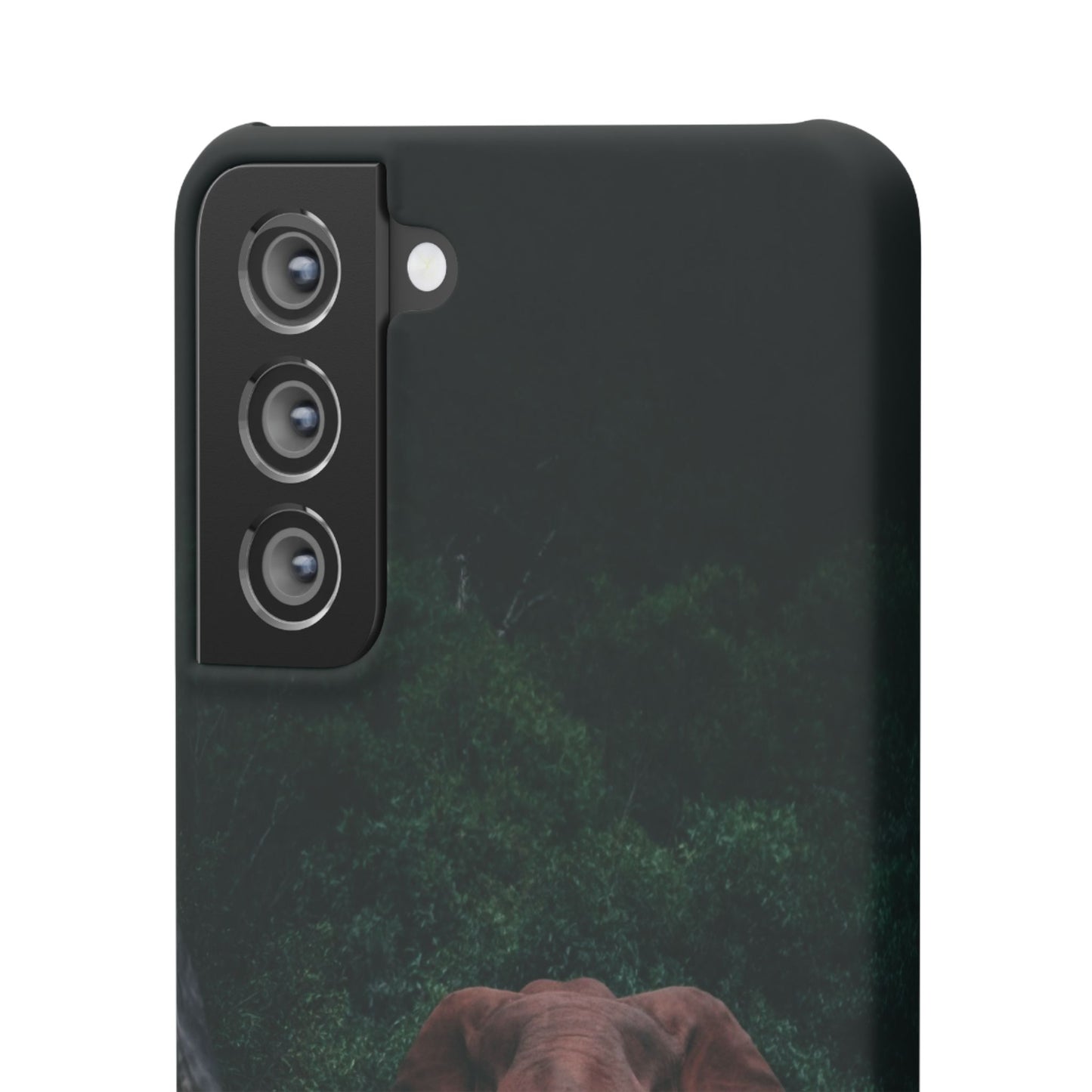 Wildlife Lover's Cajasol - Majestic Elephant