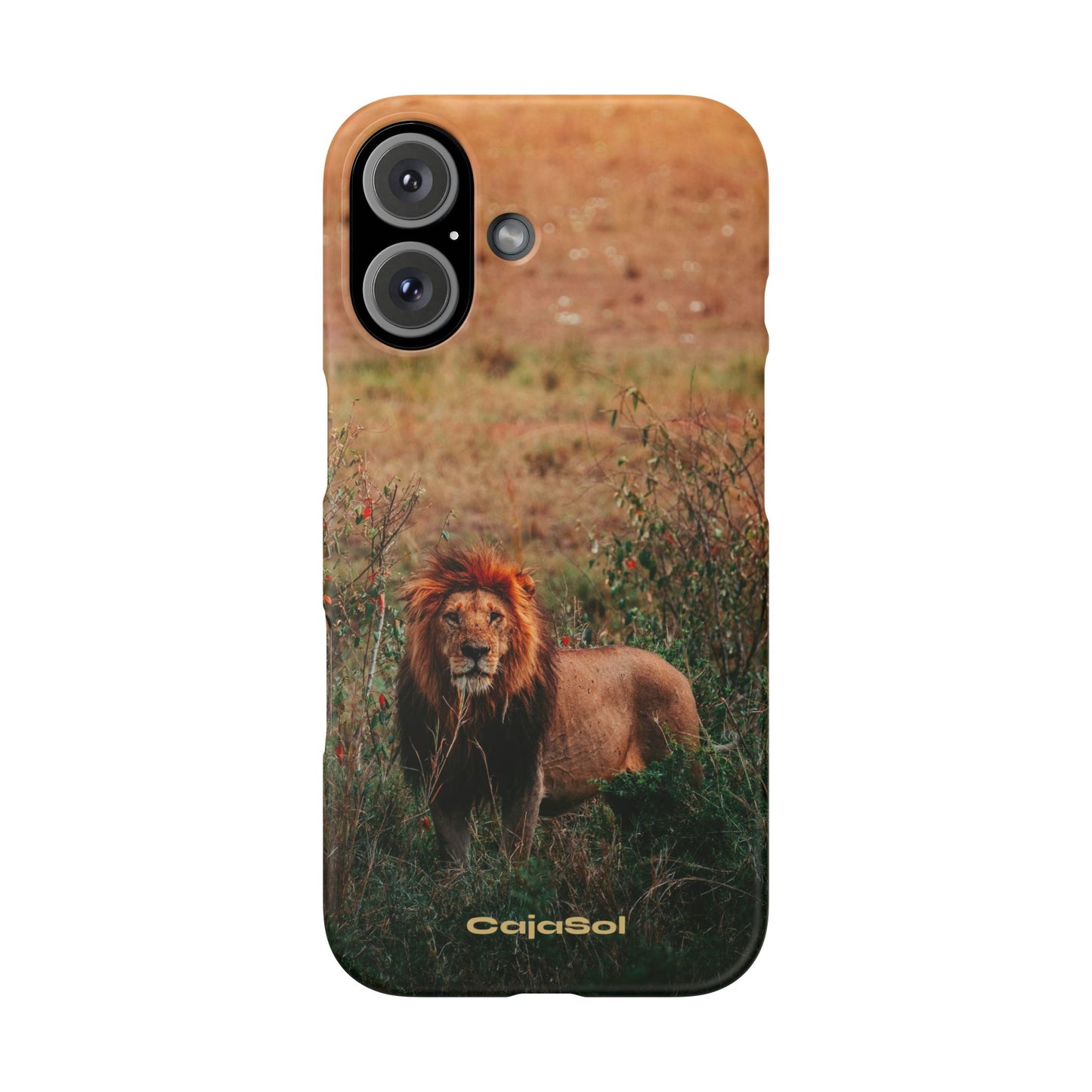 Majestic Lion Cajasol - Nature Inspired