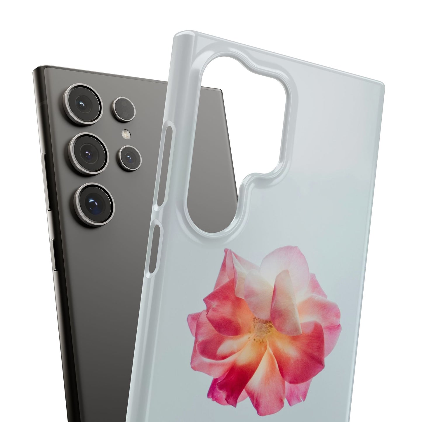 Floral Cajasol - Elegant Pink Flower
