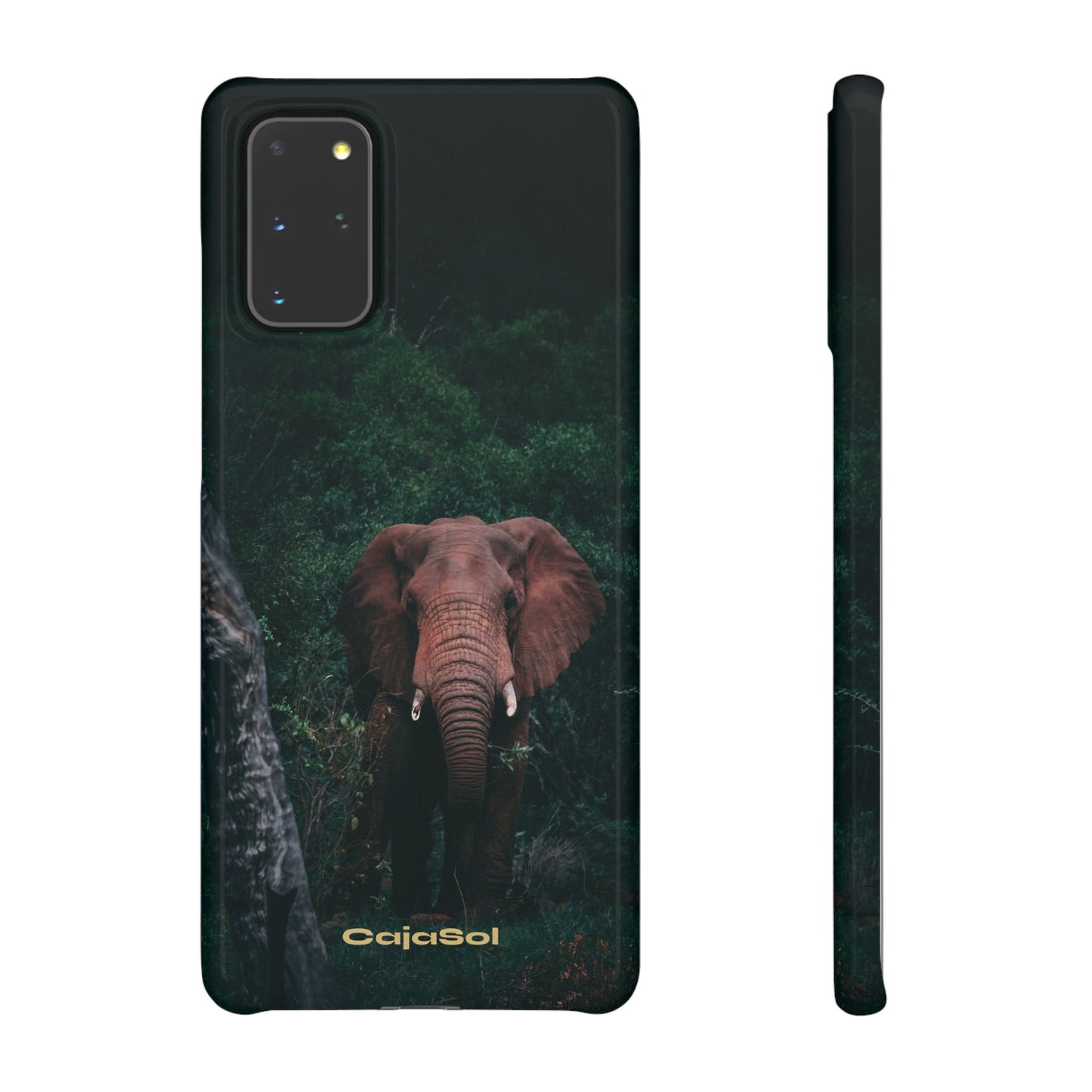 Wildlife Lover's Cajasol - Majestic Elephant