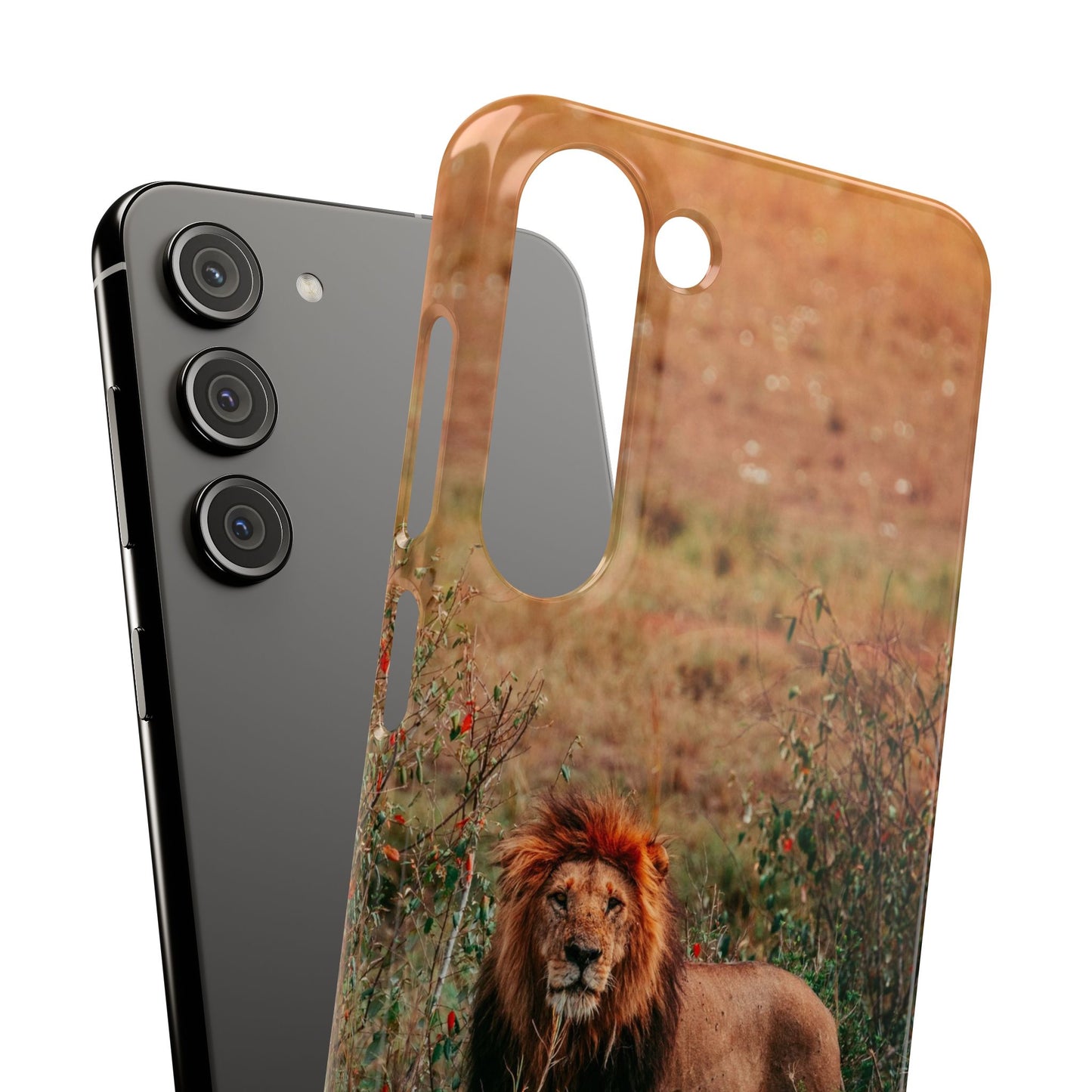 Majestic Lion Cajasol - Nature Inspired