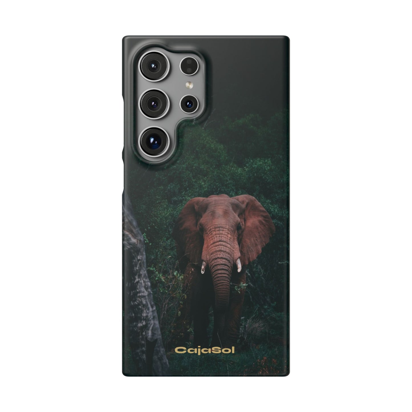 Wildlife Lover's Cajasol - Majestic Elephant
