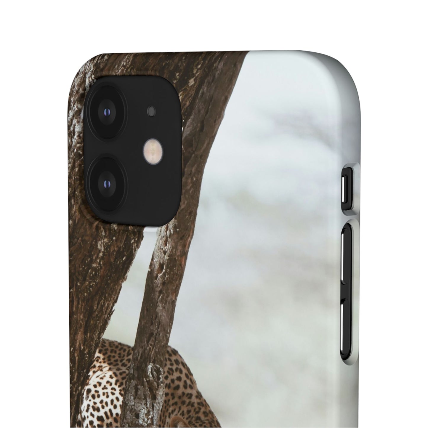 Leopard Cajasol - Wildlife Vibes
