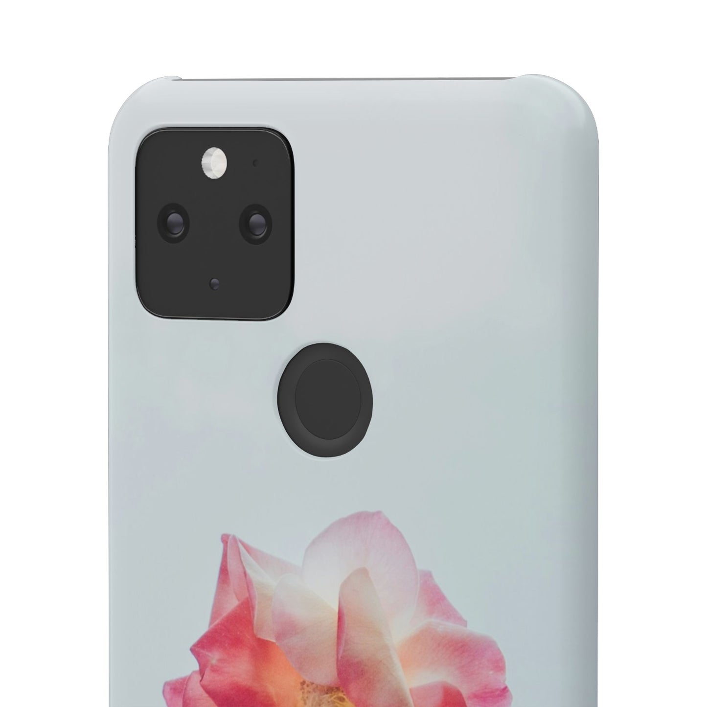 Floral Cajasol - Elegant Pink Flower