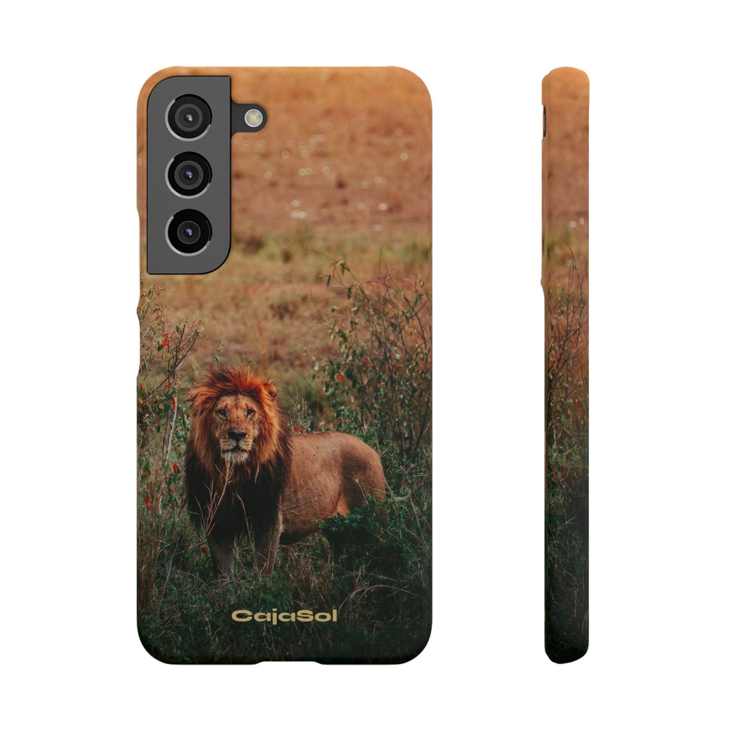 Majestic Lion Cajasol - Nature Inspired