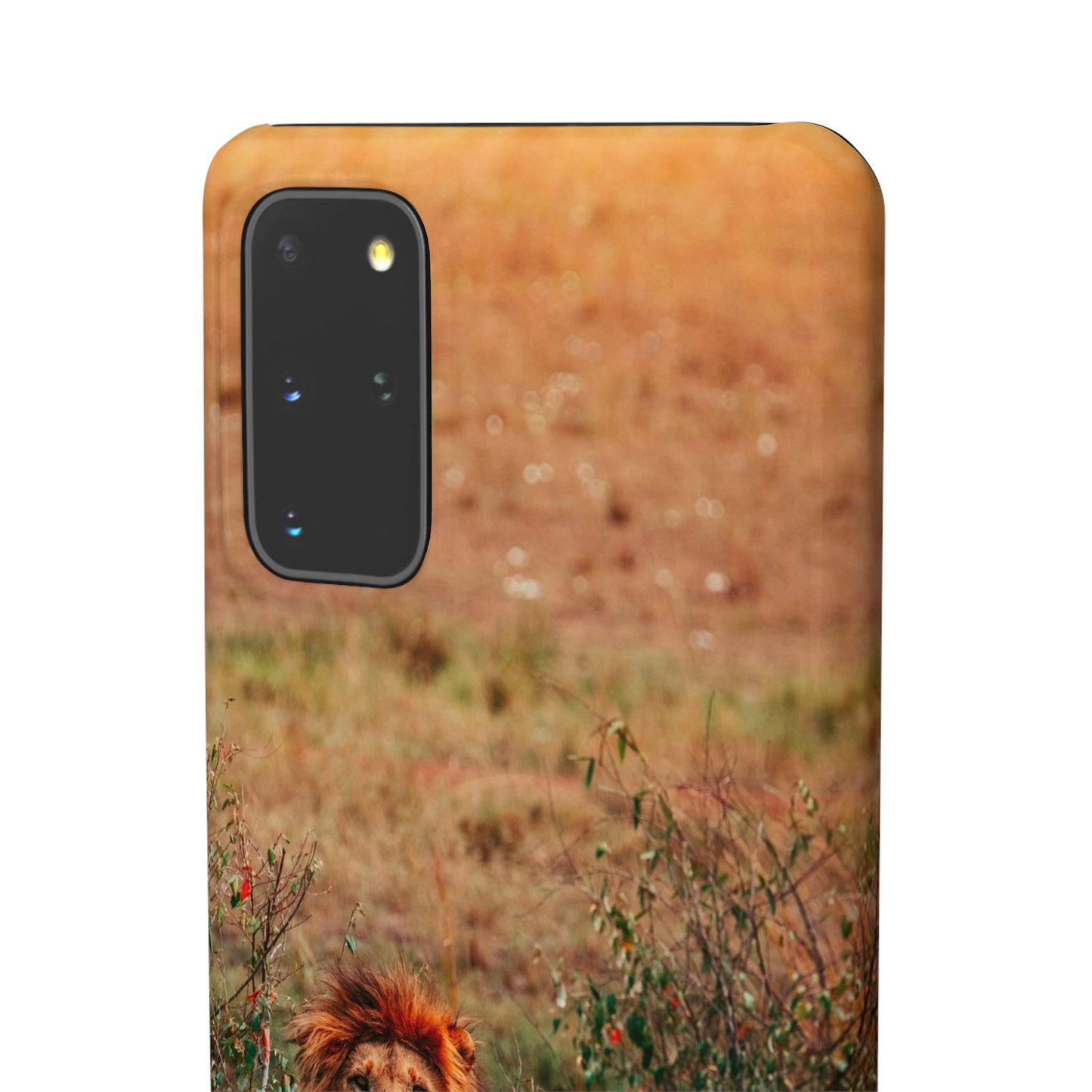 Majestic Lion Cajasol - Nature Inspired