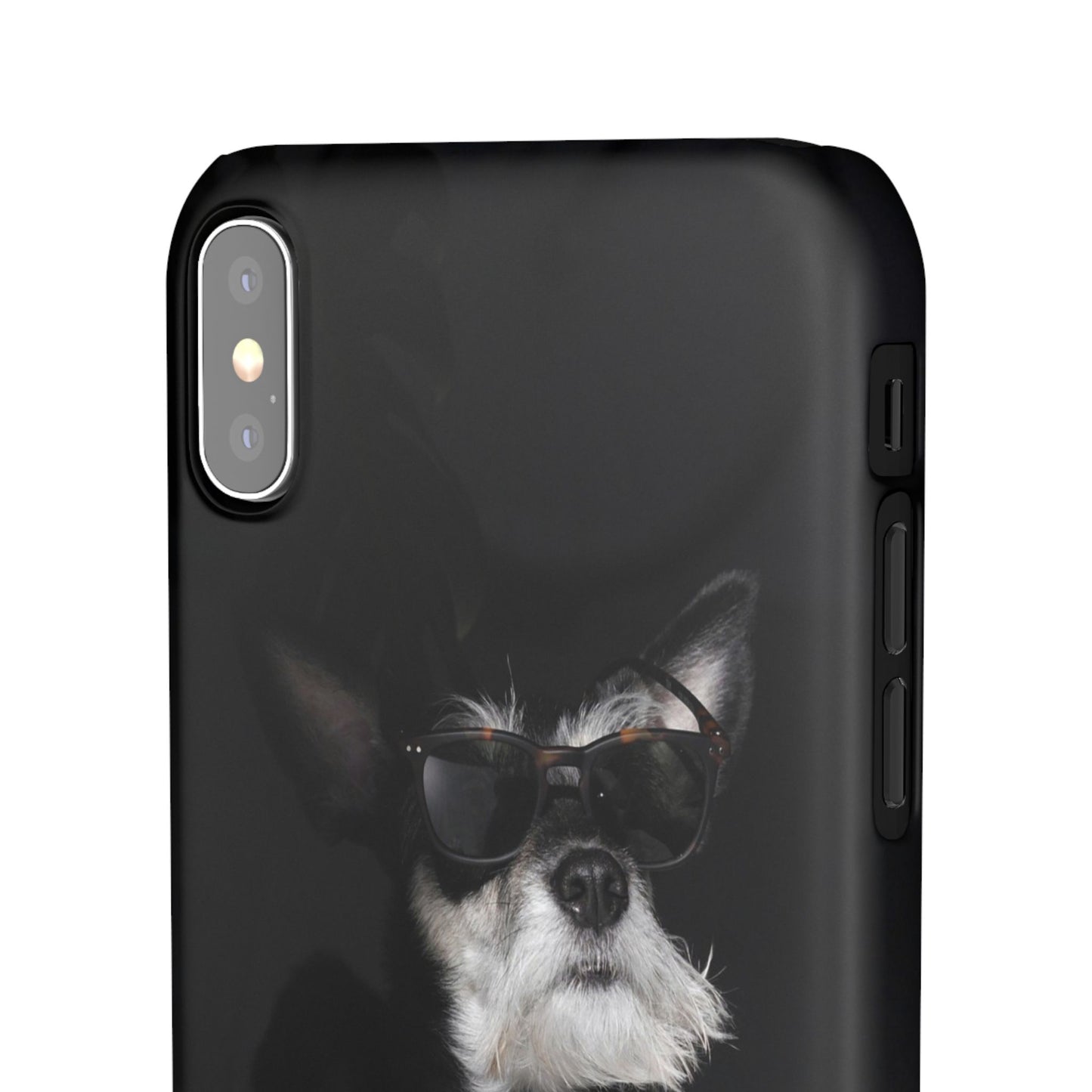Cool Dog Cajasol - Stylish Pet
