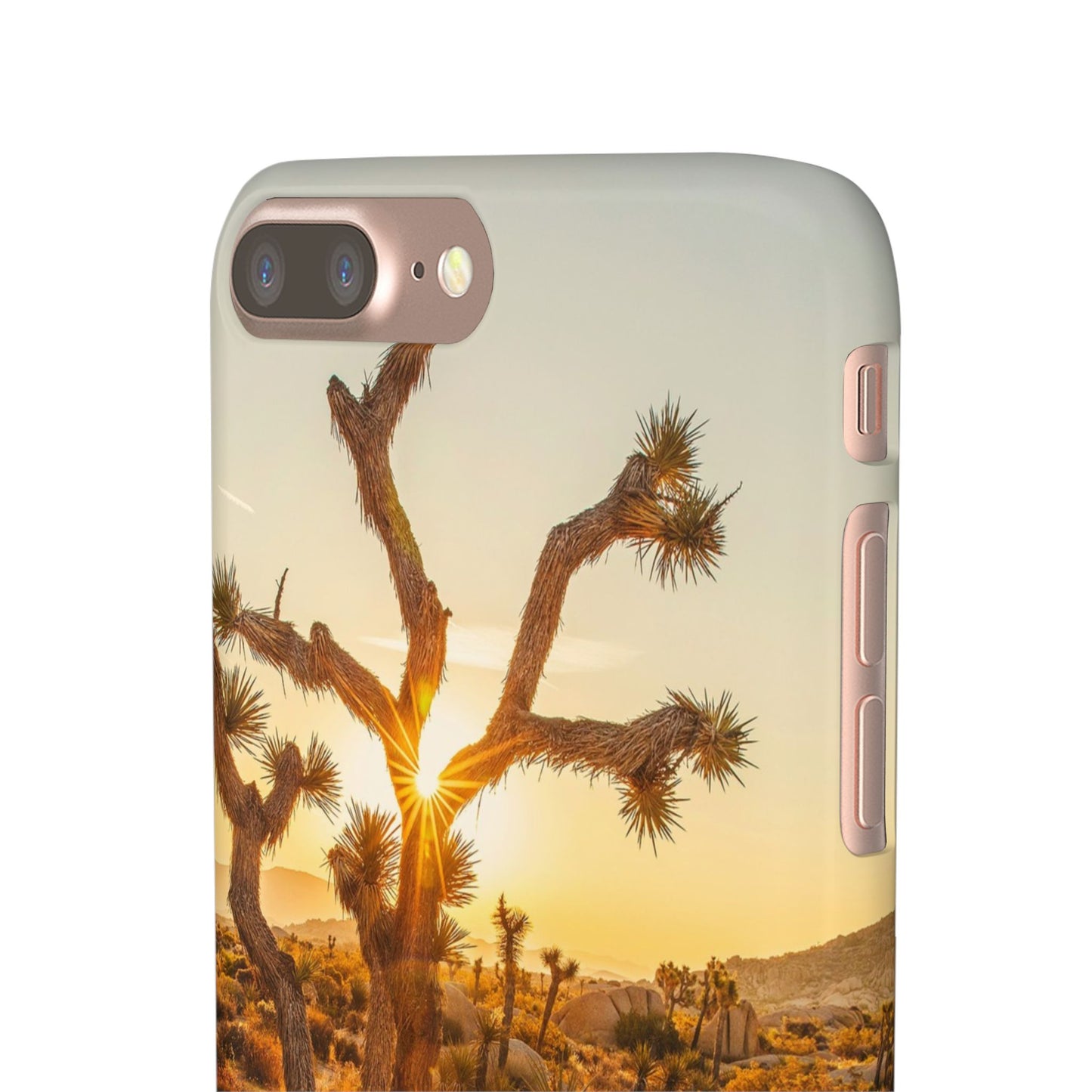Desert Sunset Cajasol - Stylish Protection for Nature Lovers