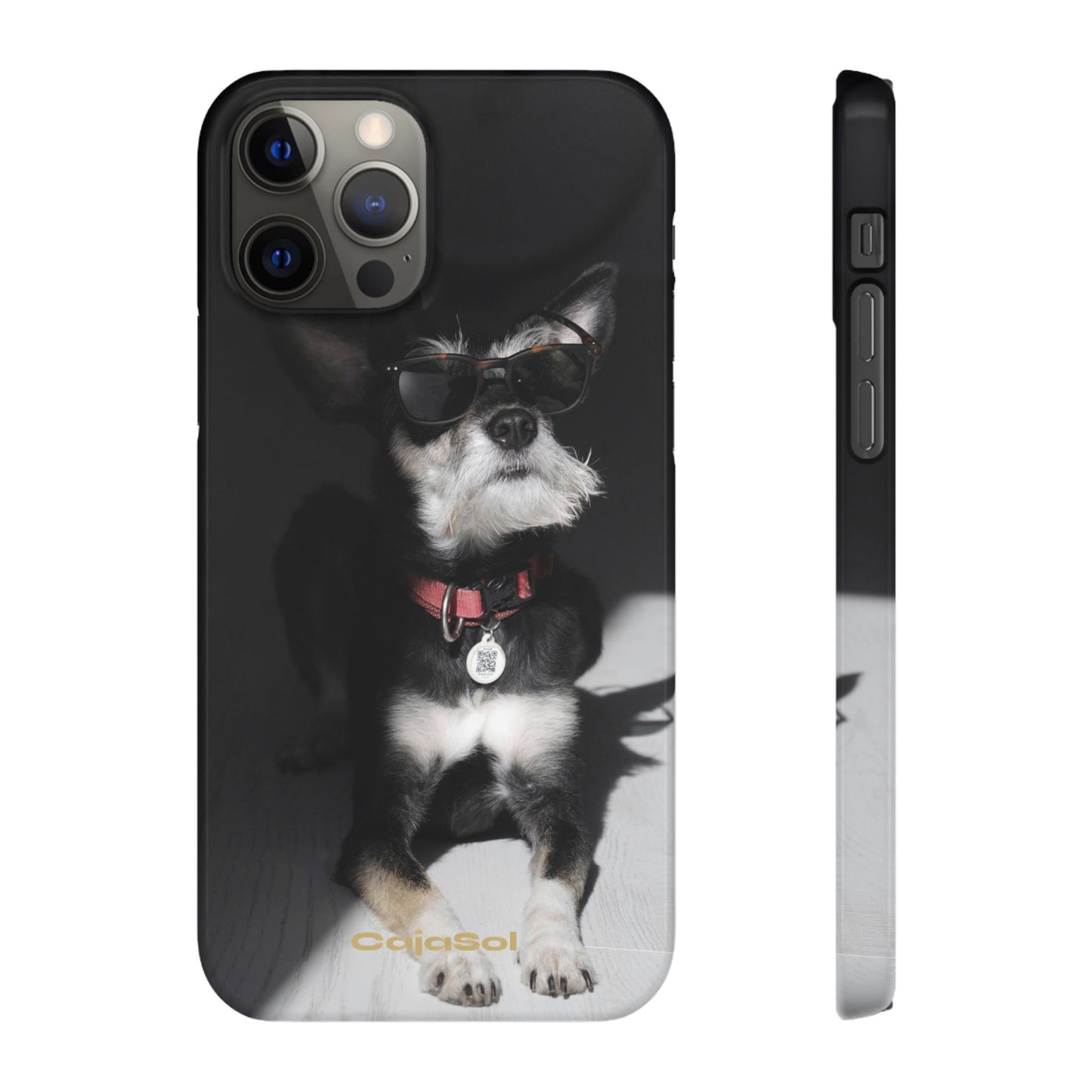 Cool Dog Cajasol - Stylish Pet