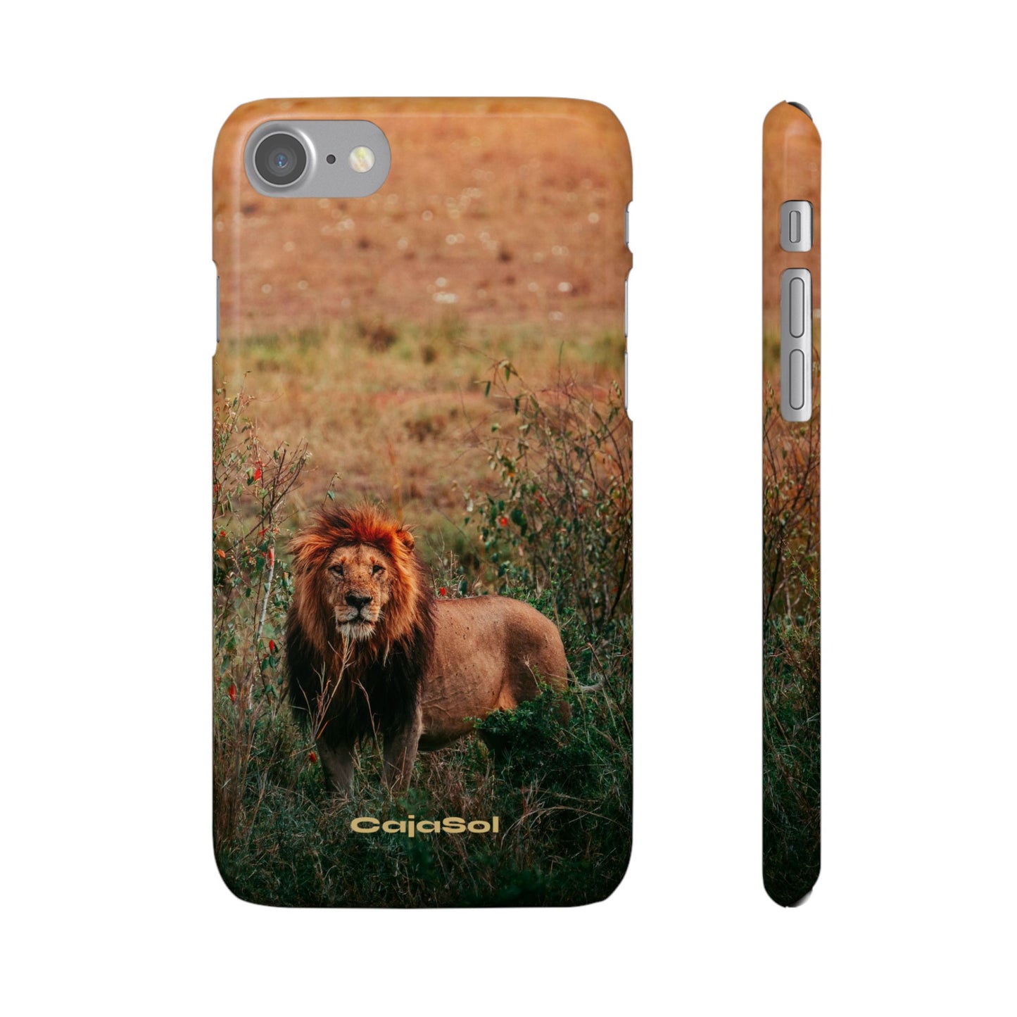 Majestic Lion Cajasol - Nature Inspired